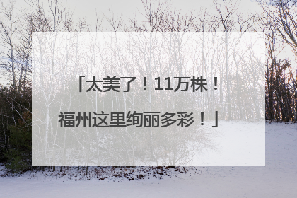 太美了！11万株！福州这里绚丽多彩！
